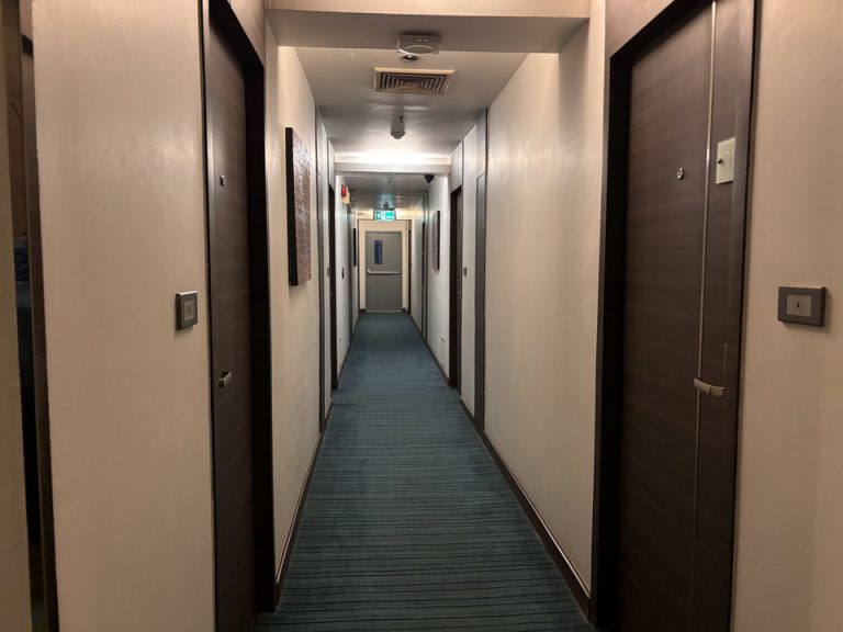 客室入口付近廊下①