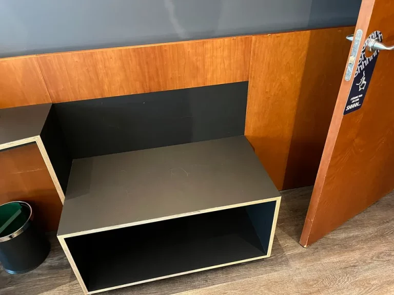 客室全体(窓際方向) (4)