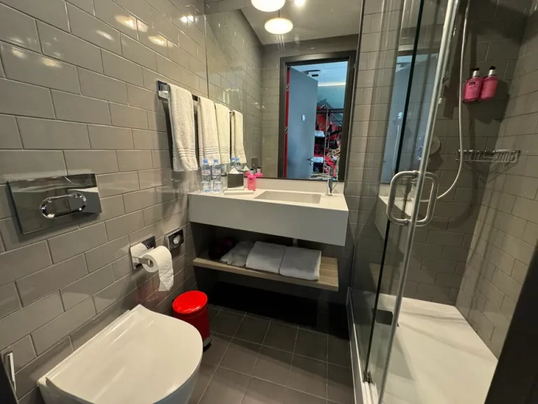 バスルーム入口から全景(1)