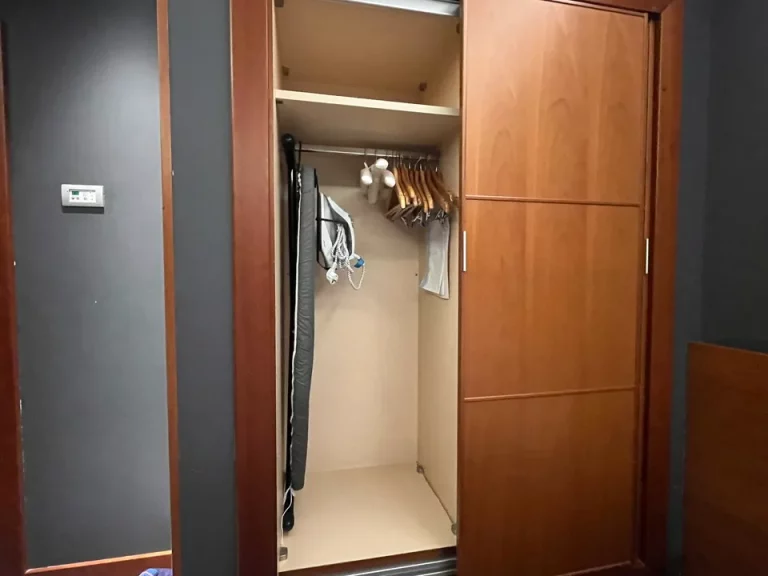 クローゼット外観(閉じた状態) (2)