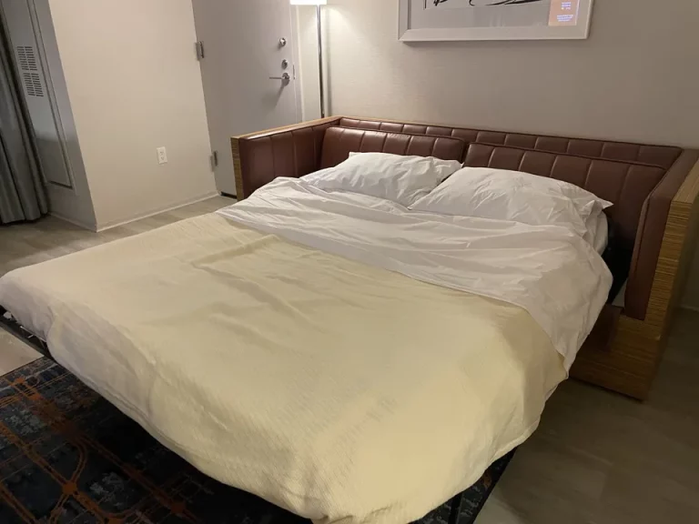 ソファ_ベッドに変形することができた(1)