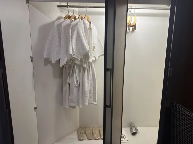 クローゼット外観(開けた状態)①