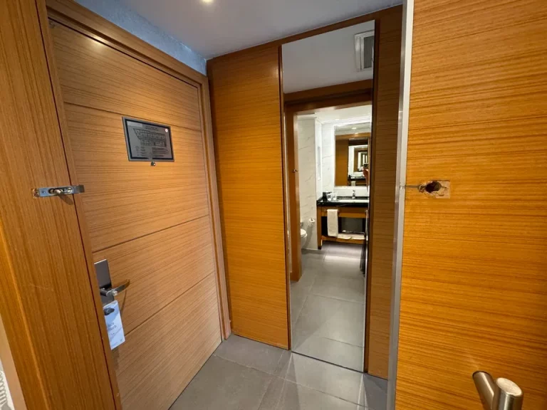 クローゼット外観 (閉じた状態 )