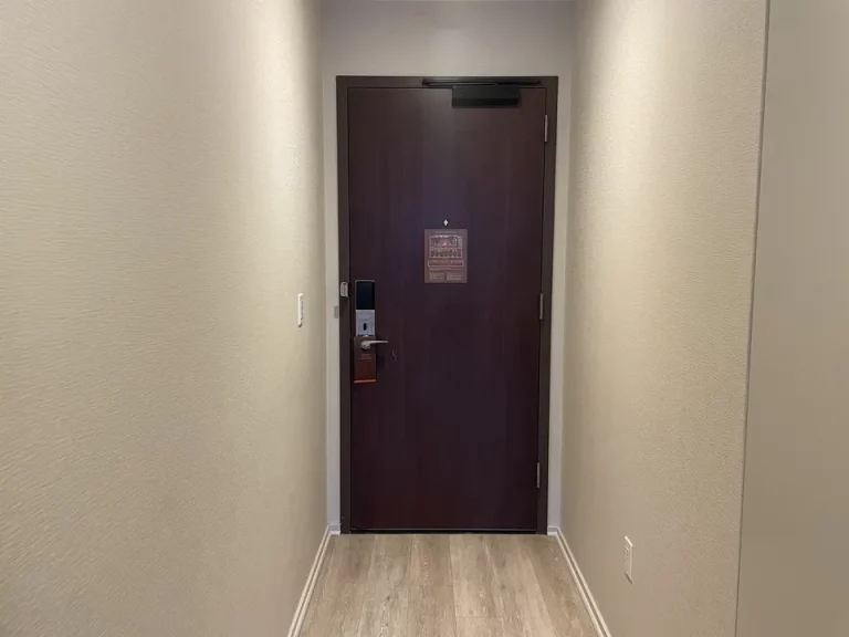 客室入口内観ドア_防音がしっかりがしっかりしているのか廊下の音は聞こえなかった(1)