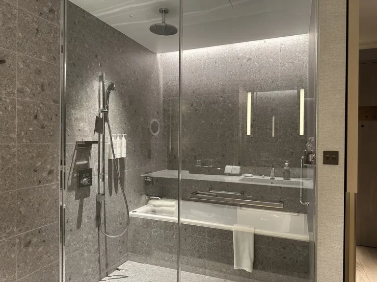 バスルーム入口から全景