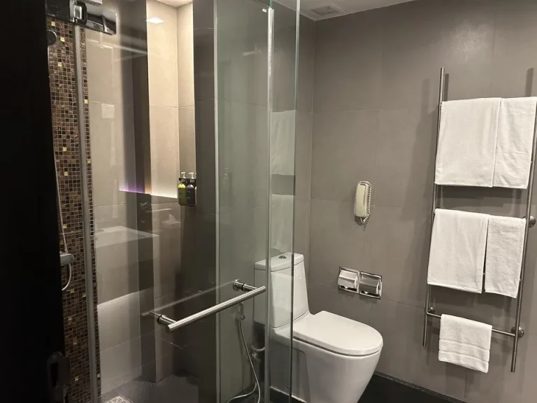 バスルーム入口から全景