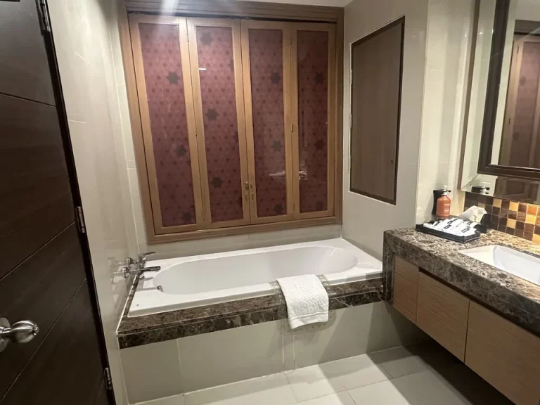 バスルーム入口から全景