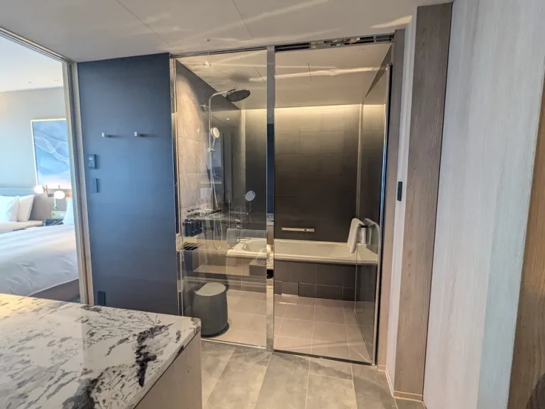 バスルーム入口から全景