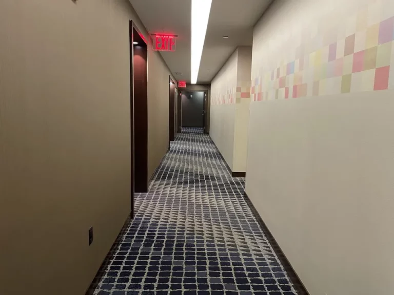 客室階廊下全体_静かだった(1)