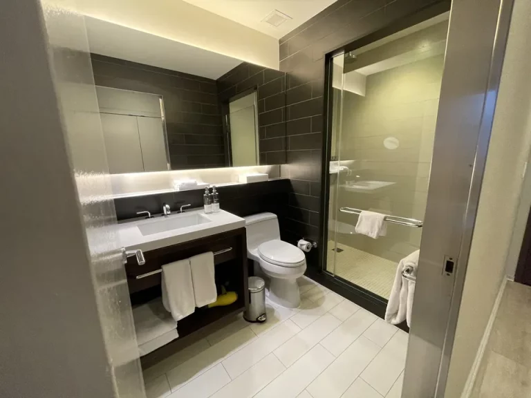 バスルーム入口から全景_必要最低限の広さだが清潔