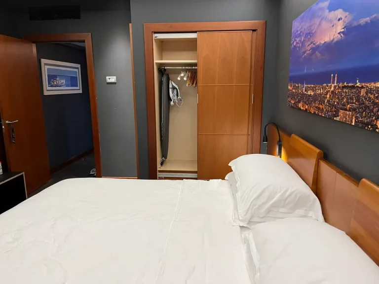 客室全体(入口方向)