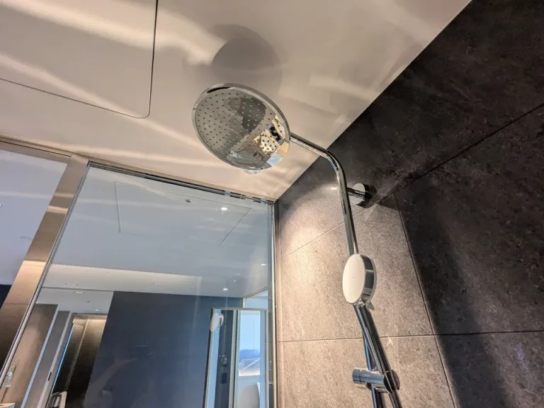 レインシャワー