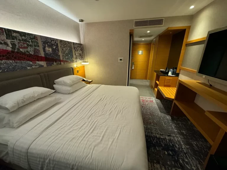 客室全体 (入口方向 )