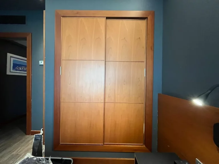 クローゼット外観(閉じた状態)