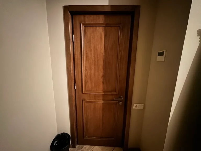 客室入口内観ドア