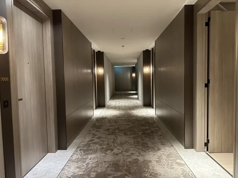 客室入口付近廊下