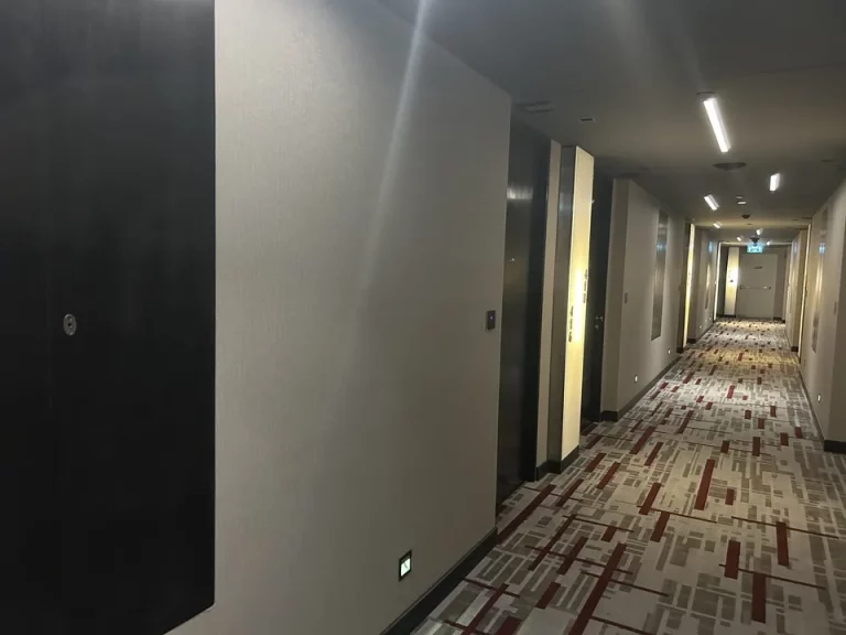 客室入口付近廊下