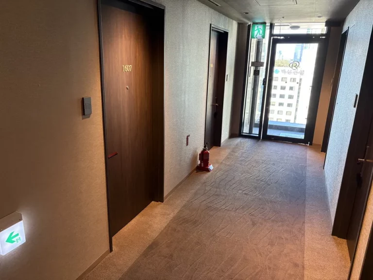 客室入口付近廊下