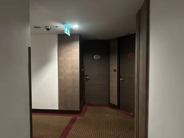 客室入口付近廊下