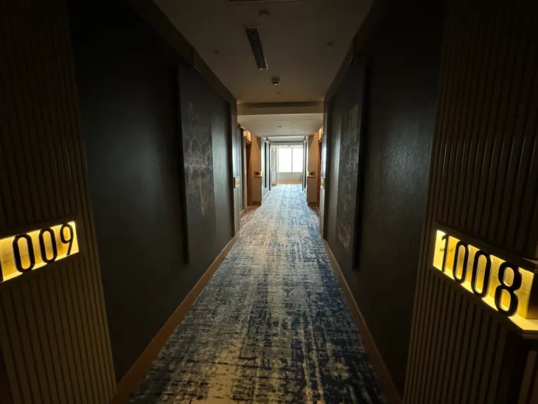 客室入口付近廊下