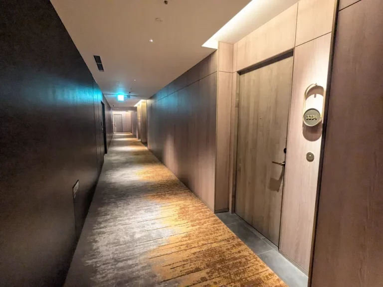 客室入口付近廊下