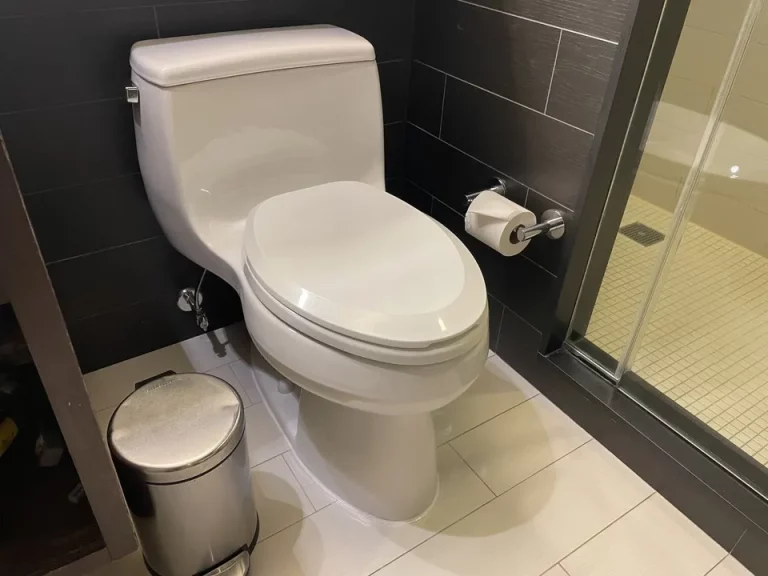 トイレ_ウォシュレットはついていない(3)