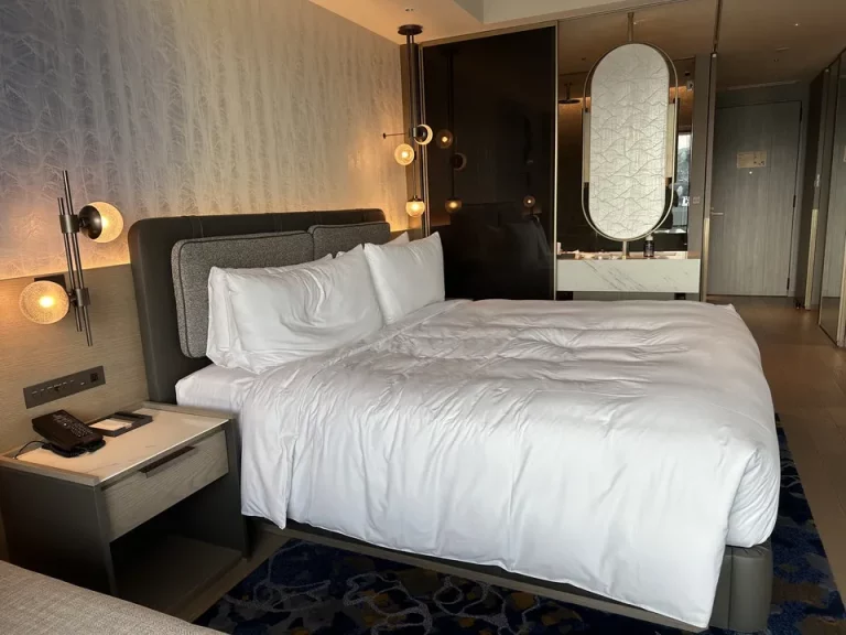 客室全体(入口方向)