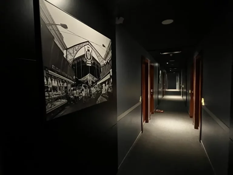 客室入口付近廊下 (2)