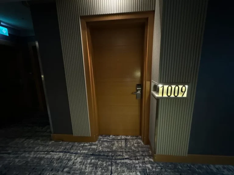 客室入口外観ドア