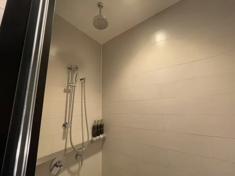 シャワー_天井シャワーと手持ちのシャワーがあった(1)