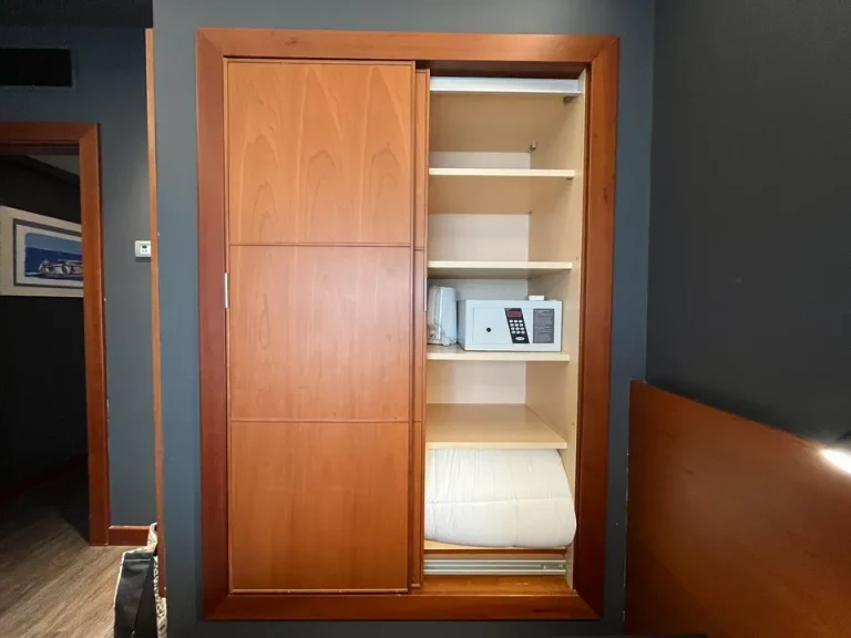 クローゼット外観(開けた状態)