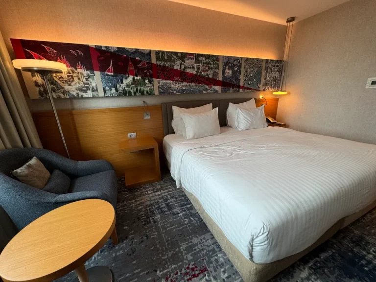 客室全体 (入口方向 )(3)