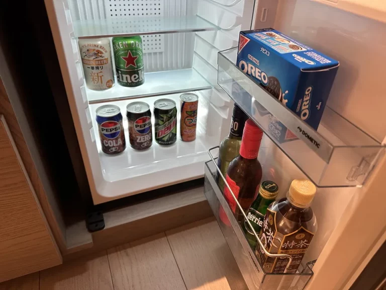 冷蔵庫(開けた状態)