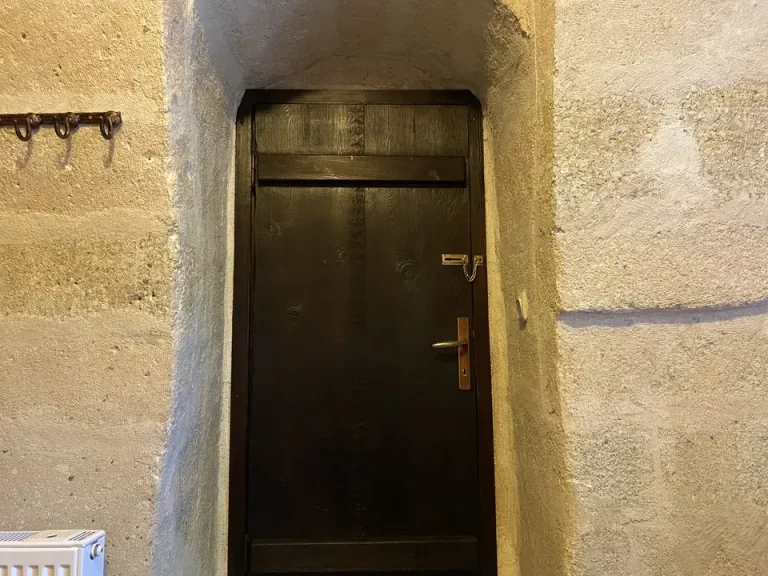 客室入口内側ドア