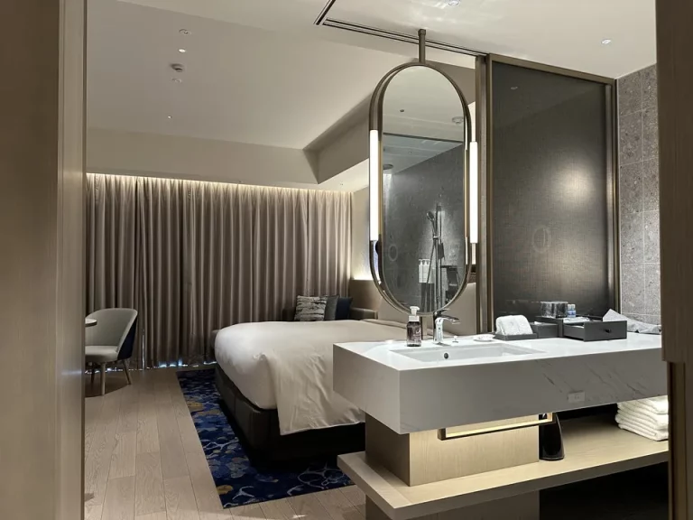 客室全体(窓側方向)(1)