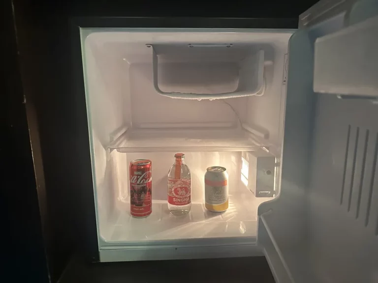 冷蔵庫(開けた状態①)