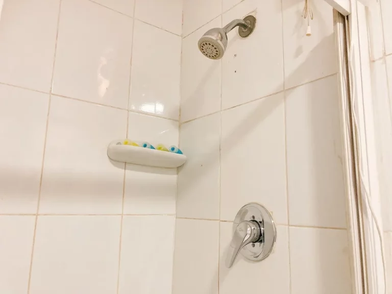 シャワーヘッド2