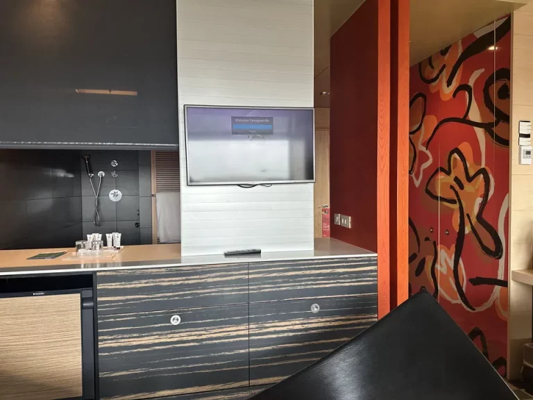 客室(ベッド方向からTV)