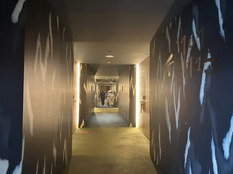 廊下(客室階廊下全体)