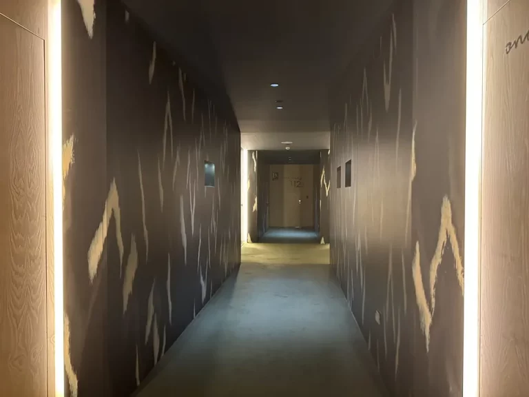 廊下(客室入口付近廊下)