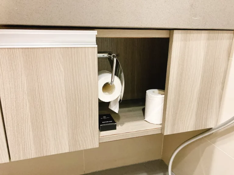 トイレットペーパーは非常に使いづらい場所にありました