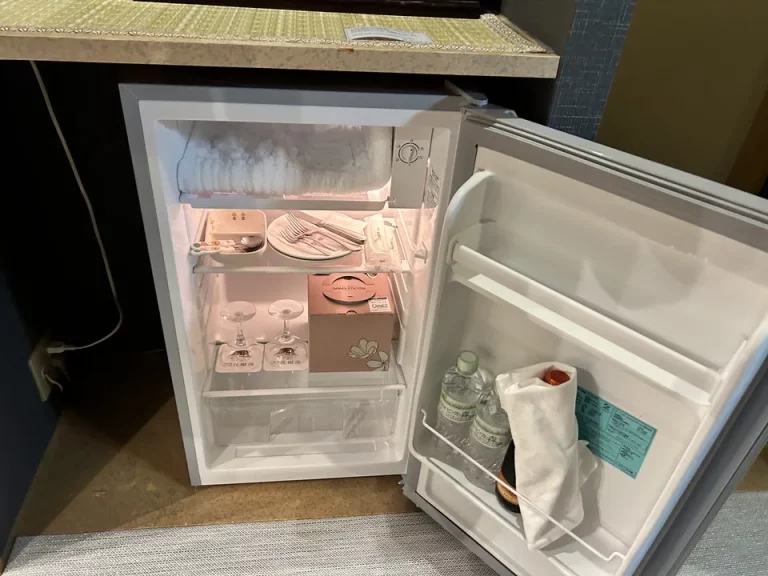 冷蔵庫(開けた状態)