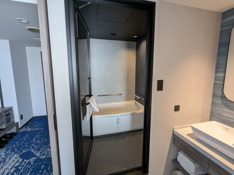 バスルーム入口から全景