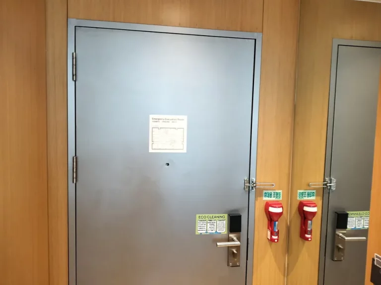 客室入口内観ドア