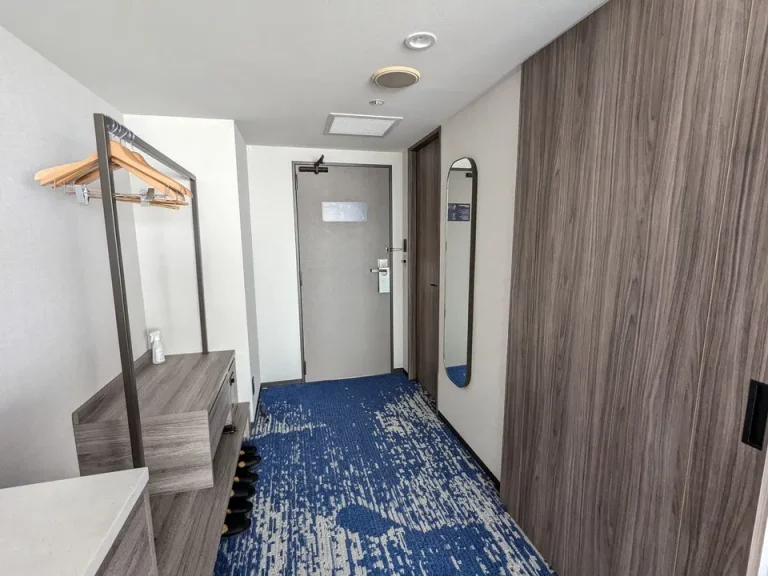 客室入口内観ドア