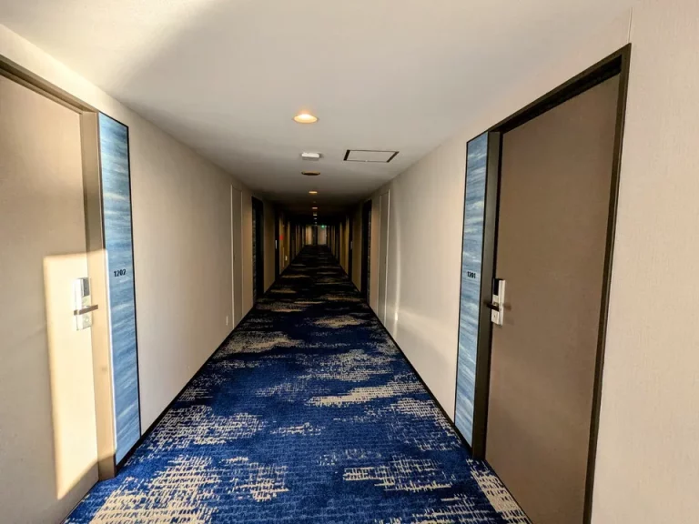 客室入口付近廊下