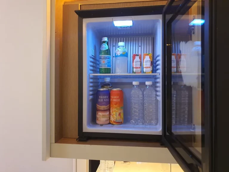 冷蔵庫(開けた状態)