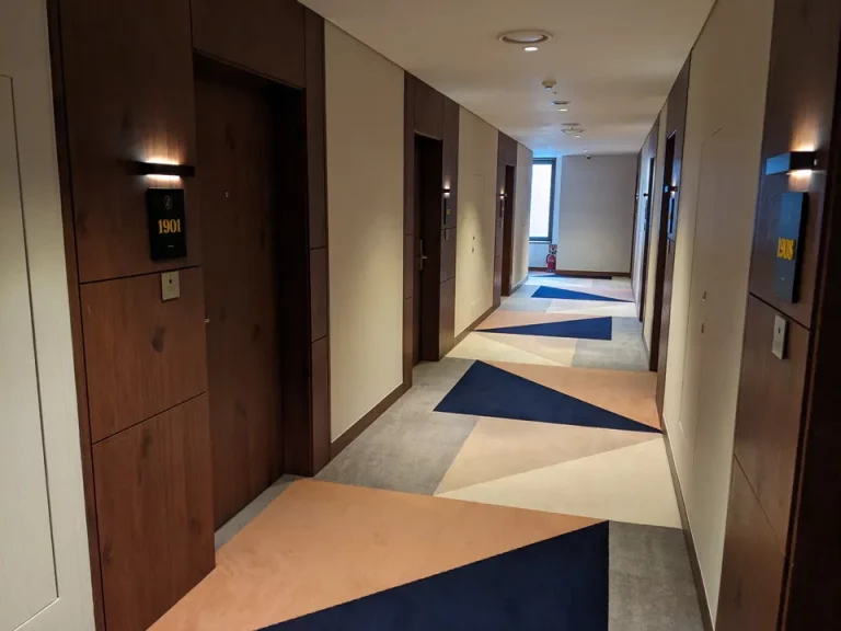 客室入口付近廊下_1