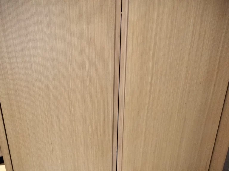 クローゼット外観(閉じた状態)