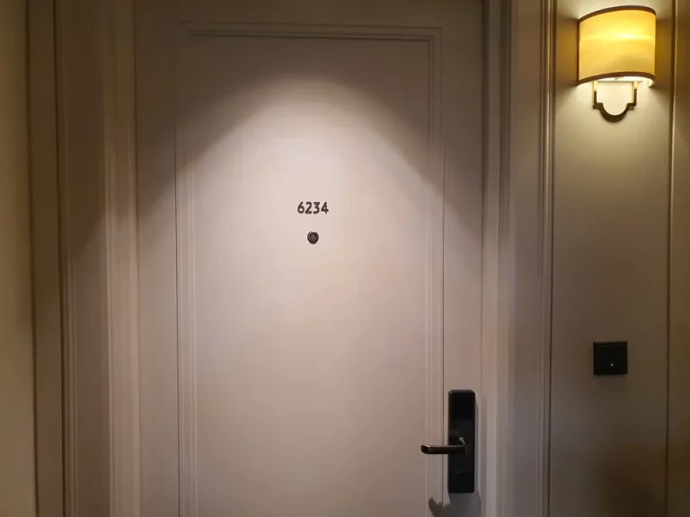 客室入口外観ドア